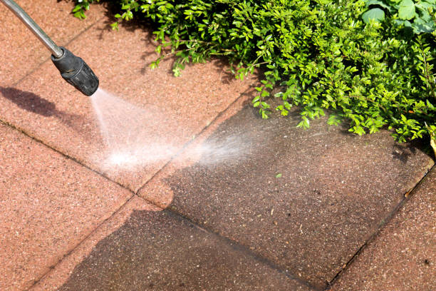 Roof Power Washing Services in Blossburg, PA